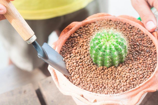 Terrarium workshop