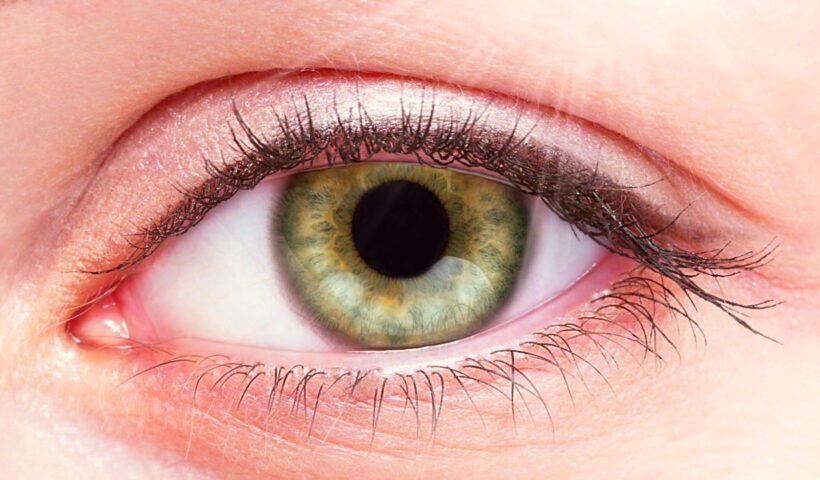 pupillary evaluation
