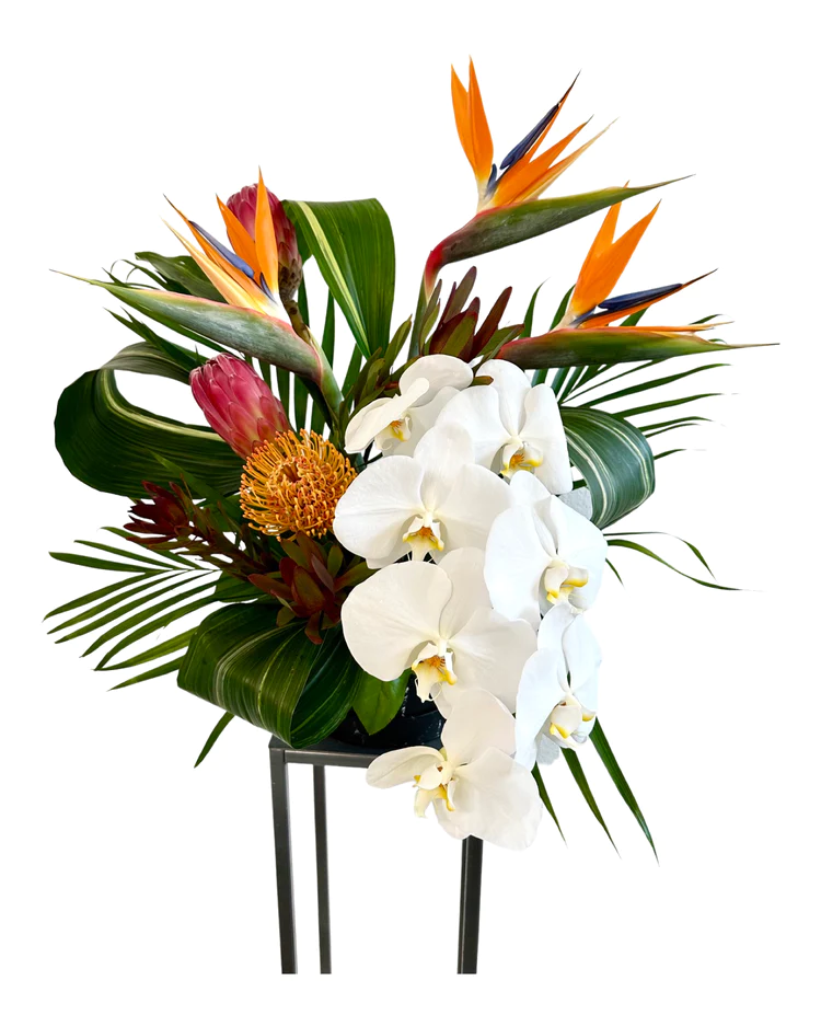 Designer Choice Tropical Arrangement