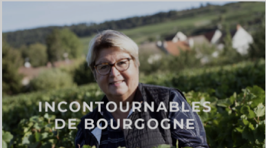 Vin de Bourgogne en ligne,