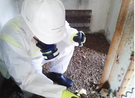 Asbestos abatement and removal