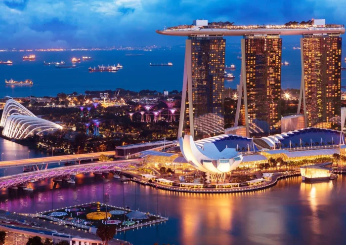 electronic singapore arrival card