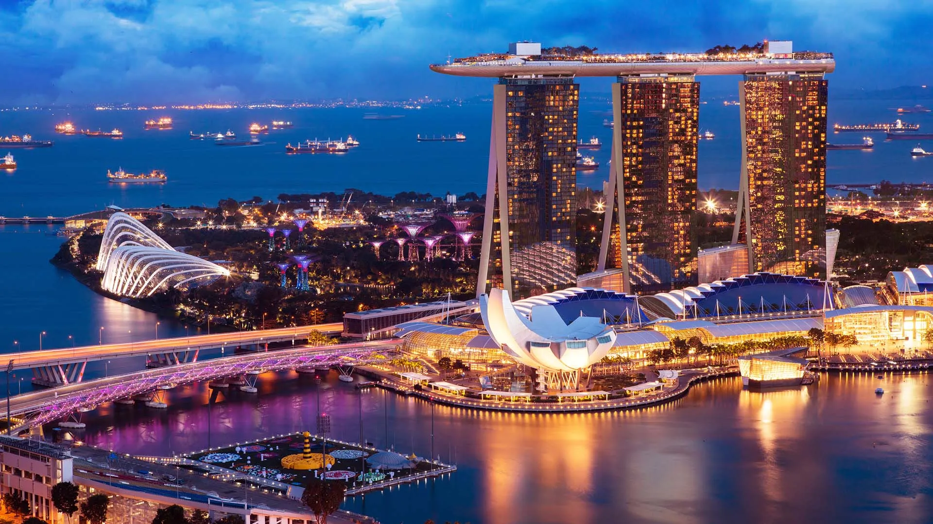 electronic singapore arrival card