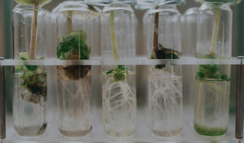 plant residual life analysis