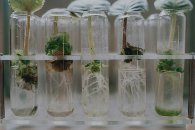 plant residual life analysis