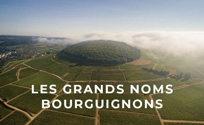 coteaux de Bourgogne