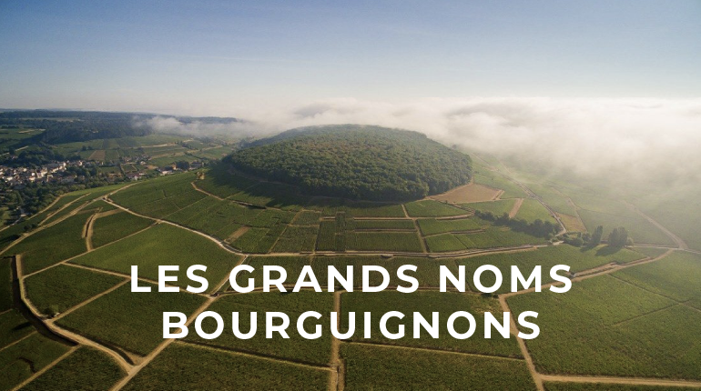 Dégustation de vins à Dijon