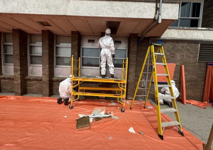asbestos removal hamilton