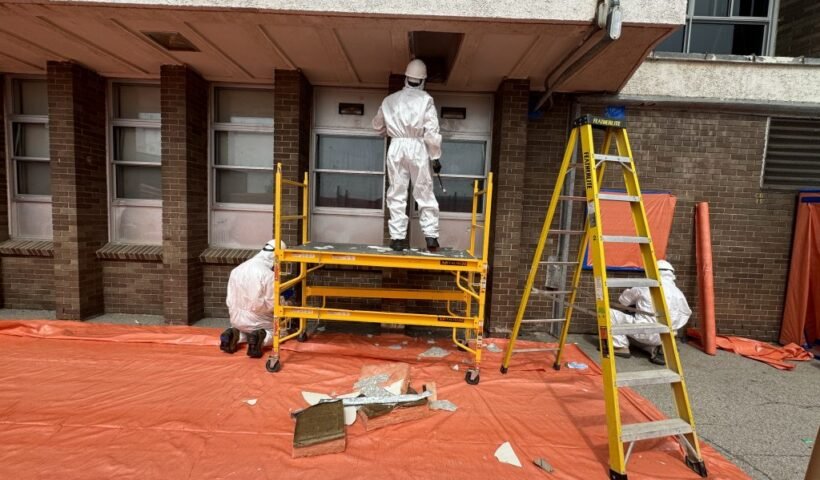 asbestos removal hamilton